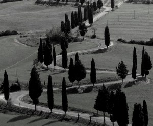 Route sinueuse - Copie - Copie