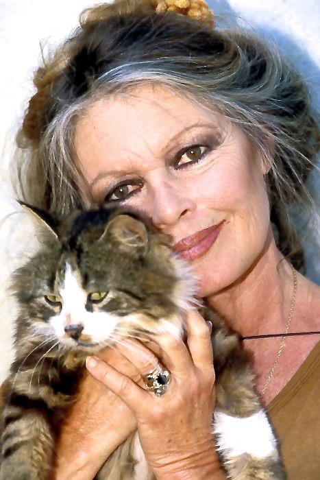 Brigitte Bardot dans les années 80 où elle fit connaitre son combat contre la maltraitance animale. 