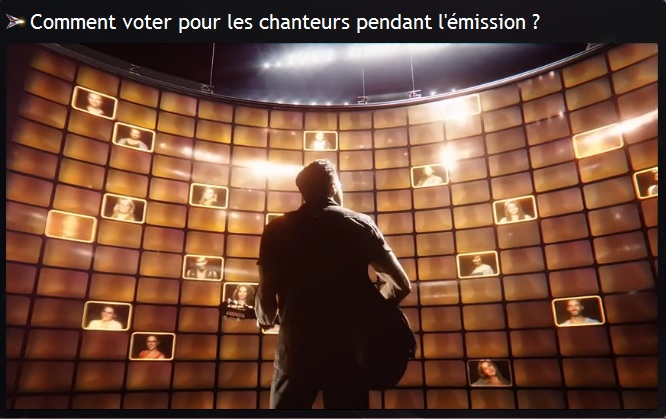 Le chanteur est de dos, les votants sont côté face. Ben oui, on s'en fout, ce qui compte c'est le selfie ! 