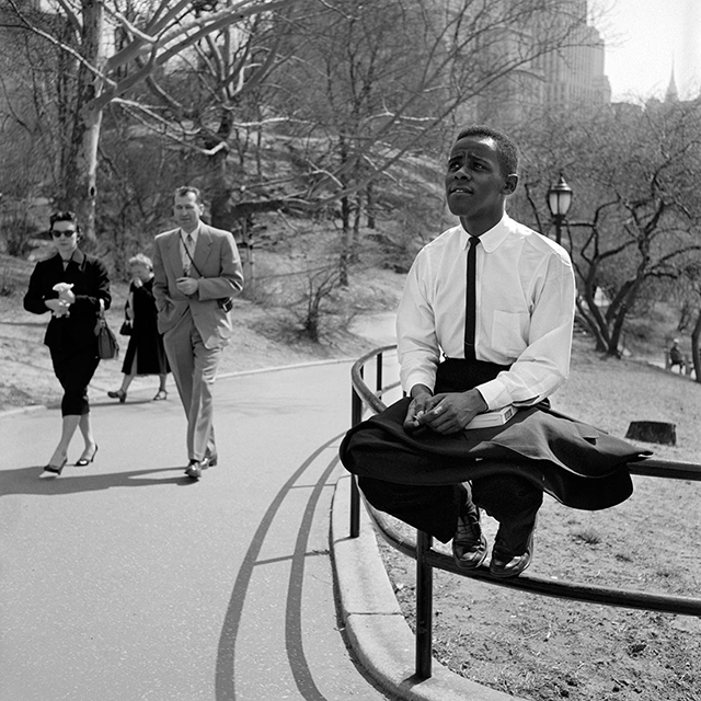 ... ou dans Central Park (1955).