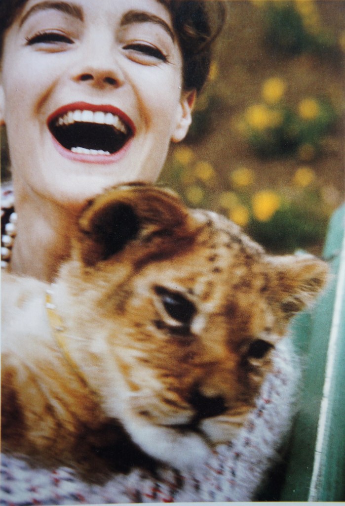 Lionceau et poilade. Romy, années 60. Elle vient de dire "merde" à Sissi et à l'Autriche bourgeoise pour vivre comme elle l'entend. 