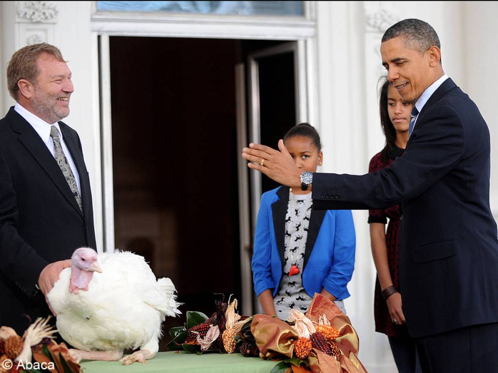 parce-que-la-dinde-ca-se-coupe-comme-ca